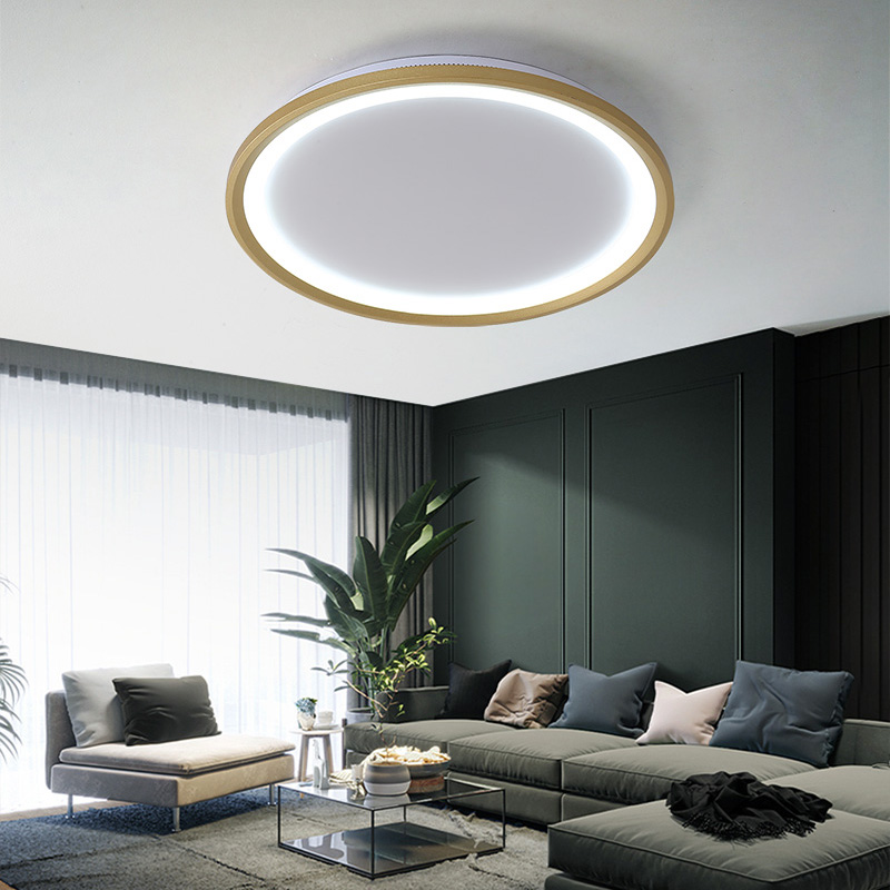 Remote Dimming LED Ceiling Light Acrylic Simple Gold Or White Modern Round Panel Lamp For Dining Living Room Kitchen Home Deco|Ceiling Lights|   - AliExpress