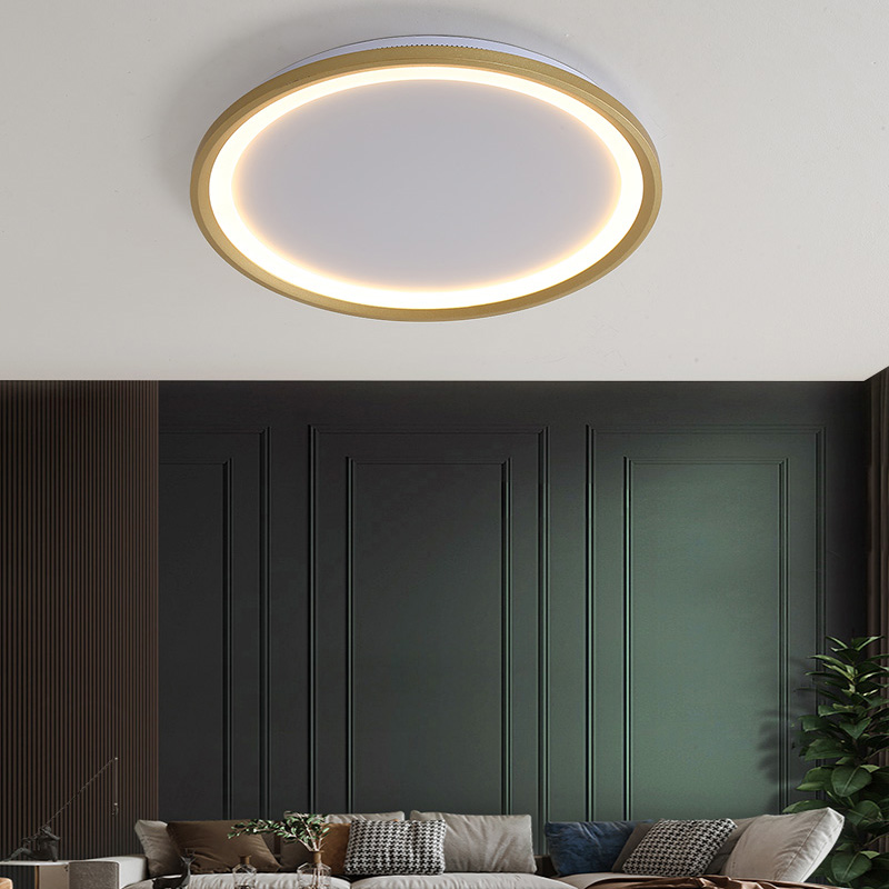 Remote Dimming LED Ceiling Light Acrylic Simple Gold Or White Modern Round Panel Lamp For Dining Living Room Kitchen Home Deco|Ceiling Lights|   - AliExpress