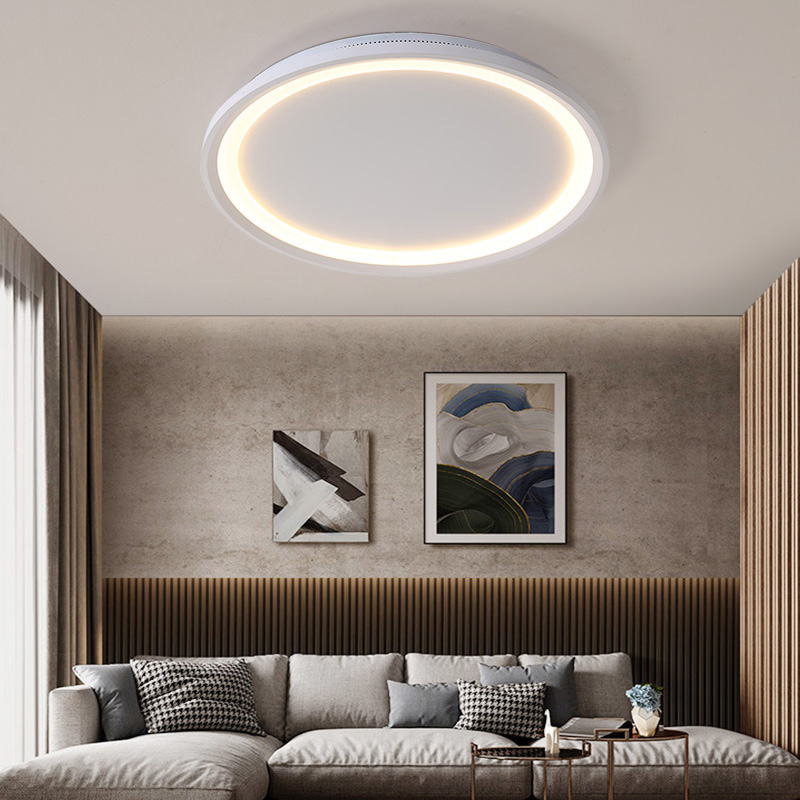 Remote Dimming LED Ceiling Light Acrylic Simple Gold Or White Modern Round Panel Lamp For Dining Living Room Kitchen Home Deco|Ceiling Lights|   - AliExpress