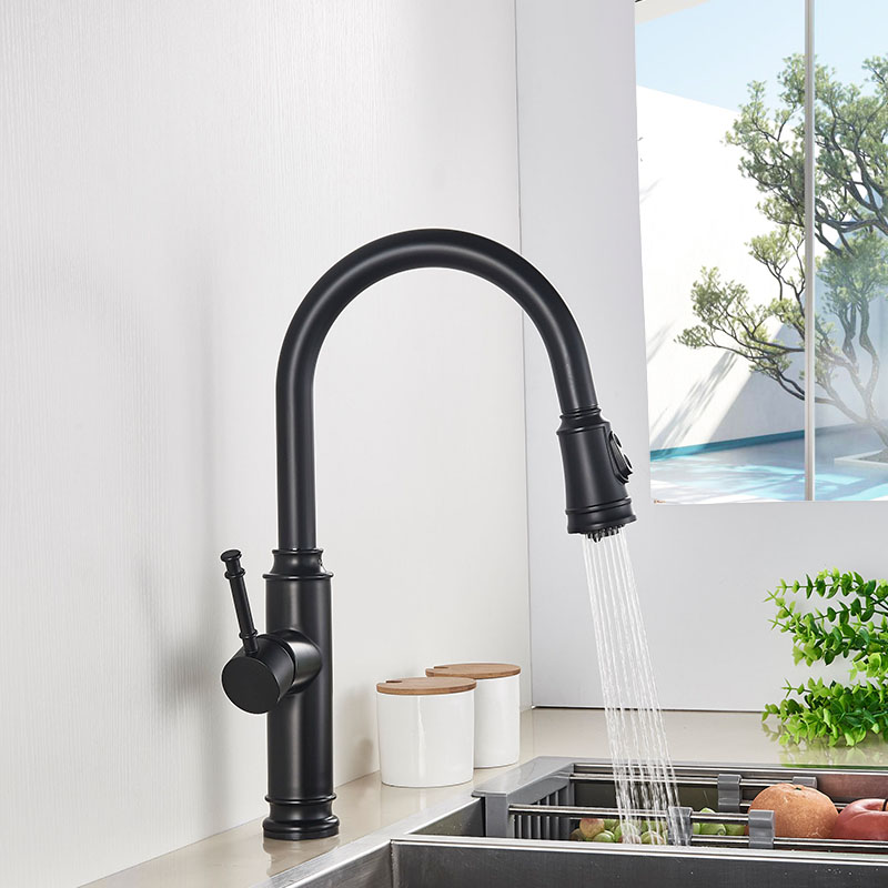 Rozin Matte Black Kitchen Faucet US Hot Sales Pull Out Dual Water Models Spout Kitchen Tap 360 Rotation Hot Cold Water Mixer Tap|Kitchen Faucets|   - AliExpress